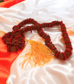 Authentic Panchamukhi (five-faced) Rudraksha Mala