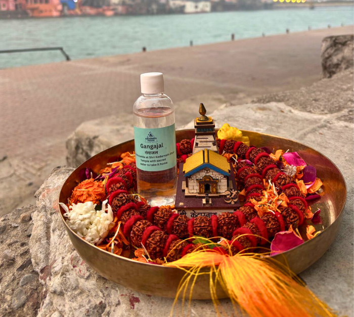 Untitled design (11)