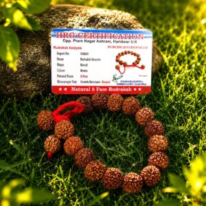 5 mukhi Rudraksh Bracelet
