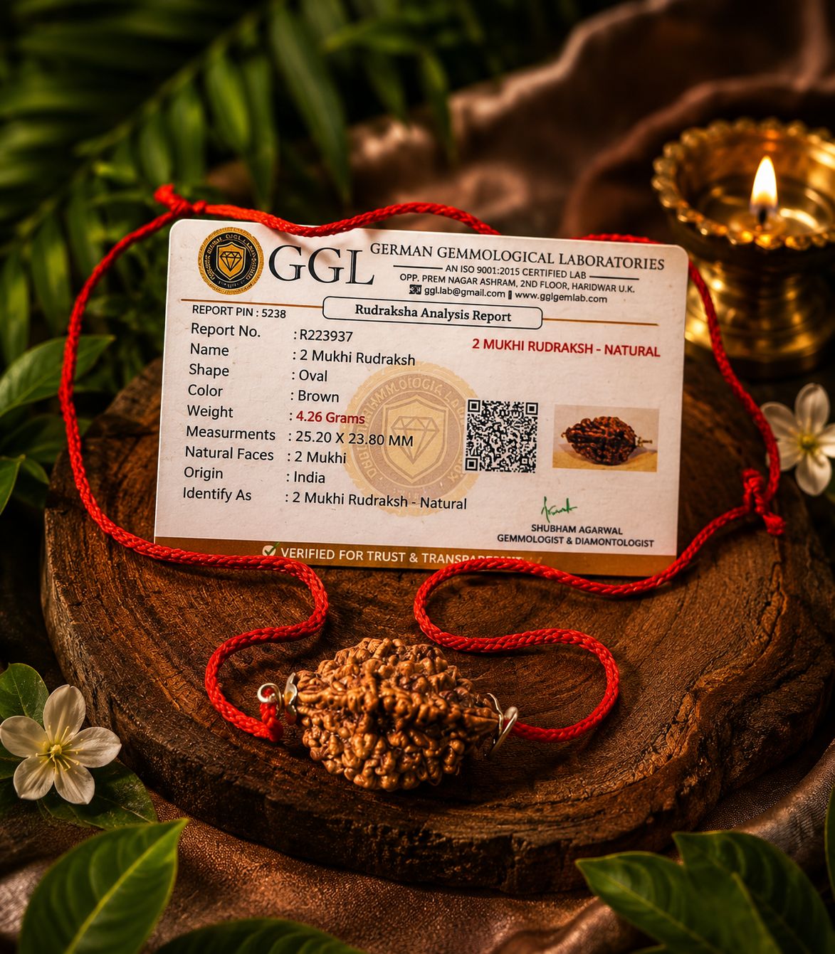 2 Mukhi Rudraksha Mala - Lab Certified