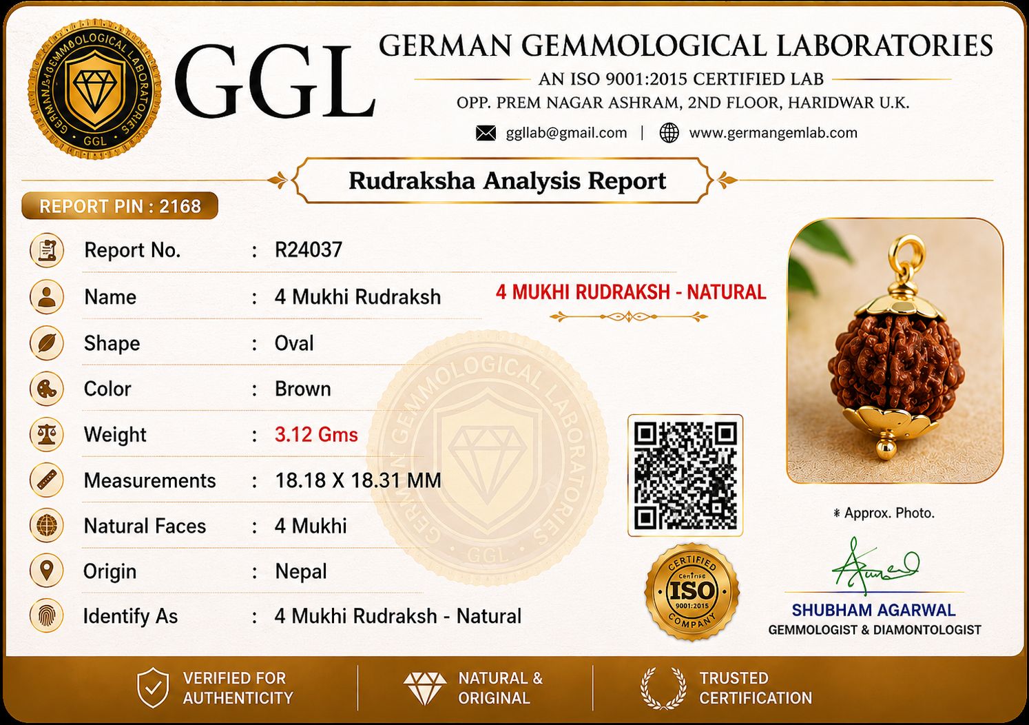 4 Mukhi Rudraksha - Lab Certified - Image 2