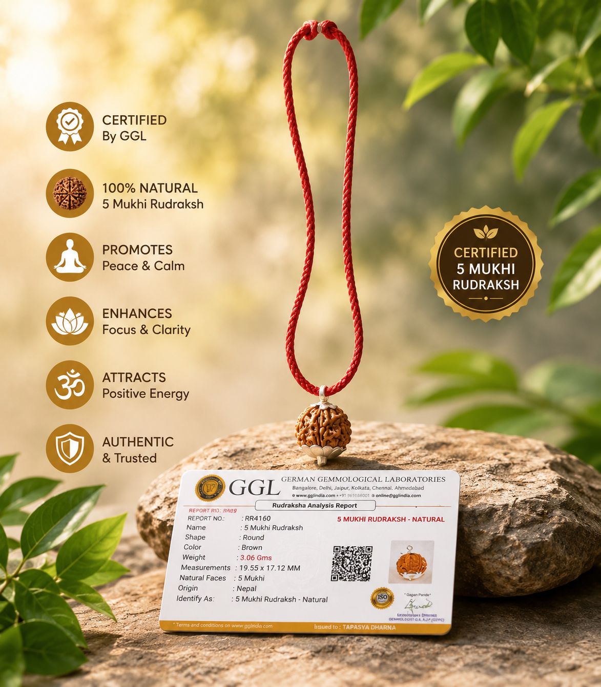 5 Mukhi Rudraksha - Lab Certified